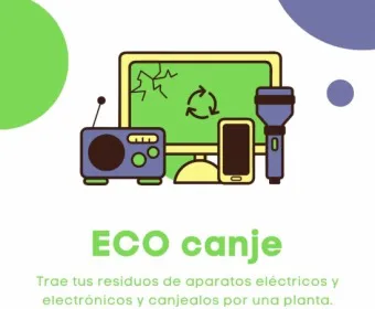 WhatsApp Image 2024-09-16 at 11.11.10