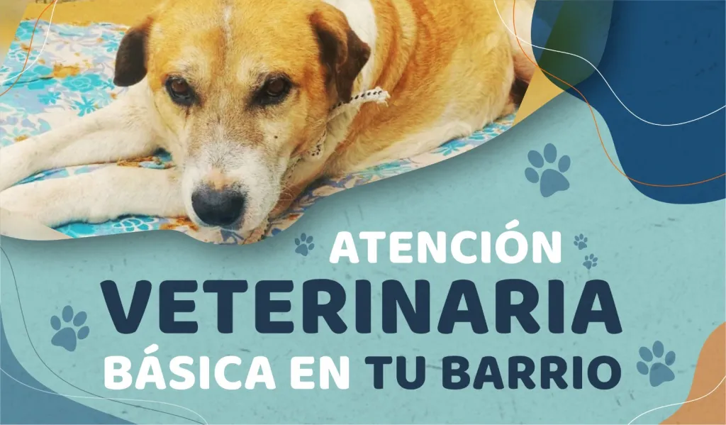 WhatsApp Image 2025-09-23 at 13.00.09