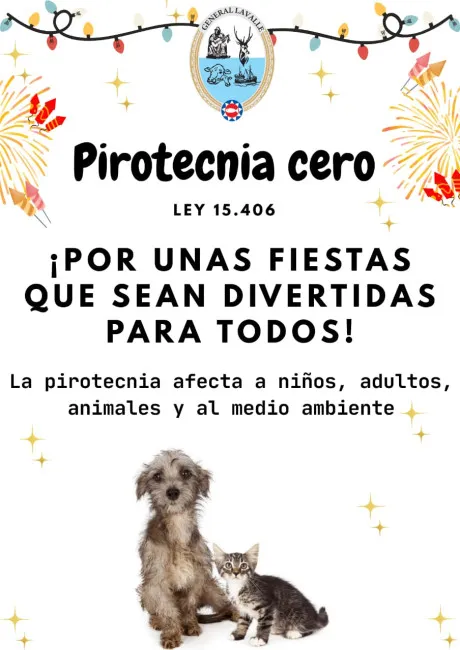 whatsapp-image-2025-12-09-at-100258_80