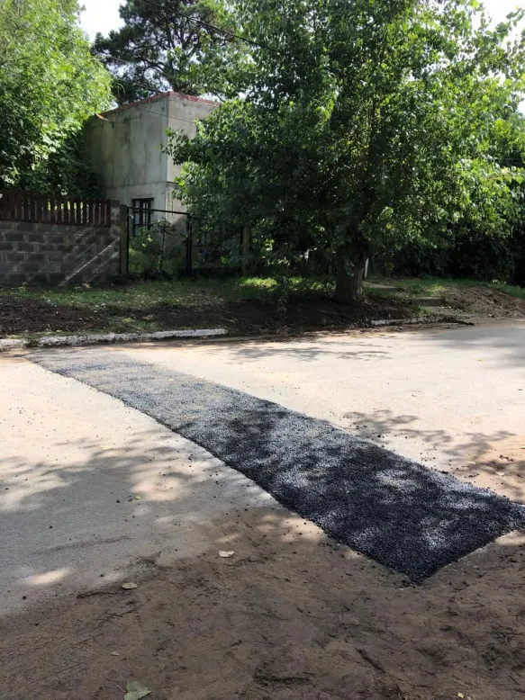 WhatsApp Image 2026-02-17 at 13.41.13