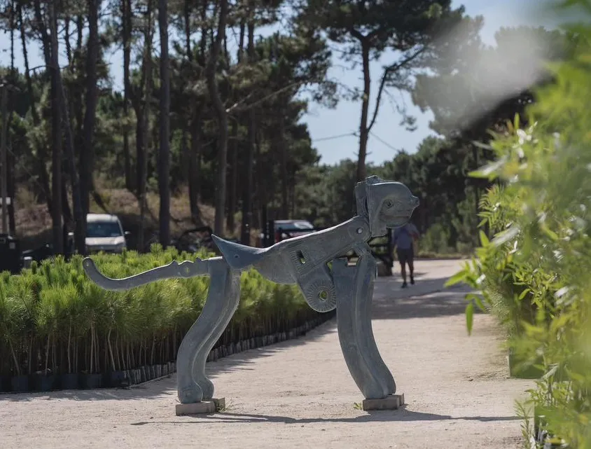 vivero-forestal-pinamar-SA