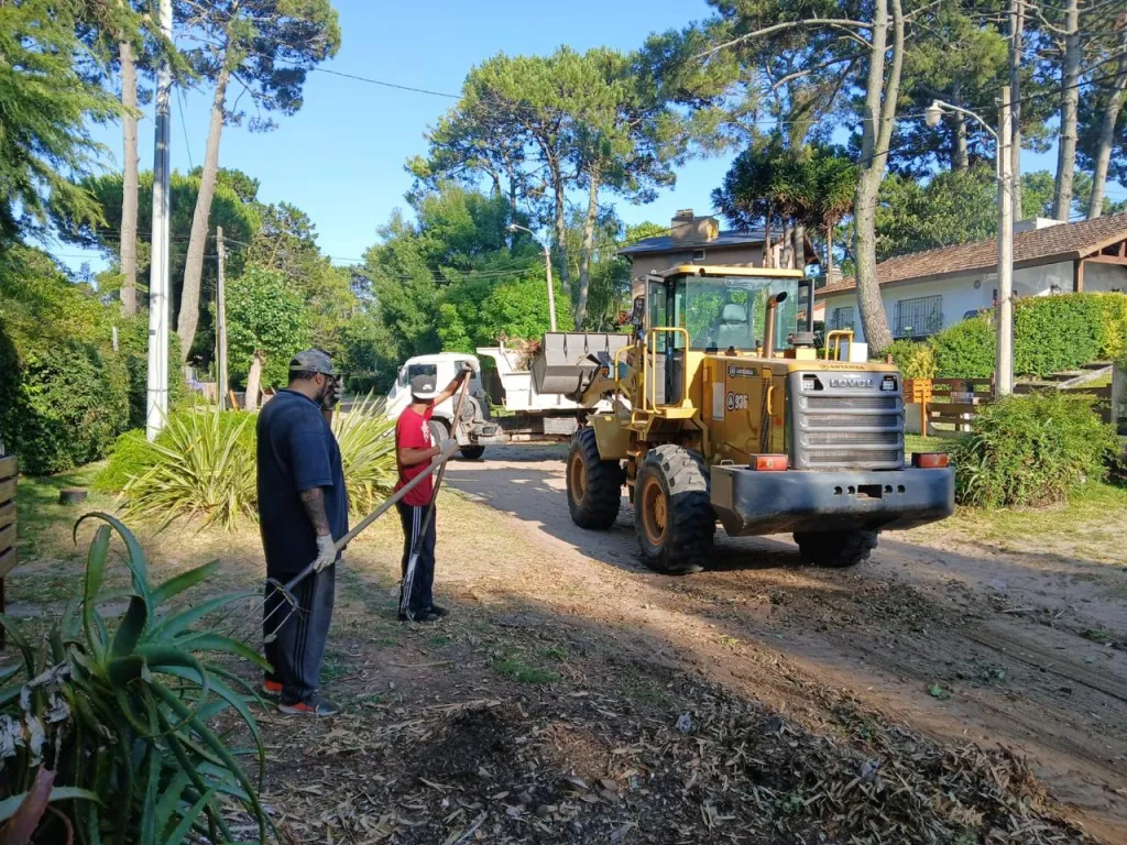 WhatsApp Image 2026-01-14 at 07.47.12