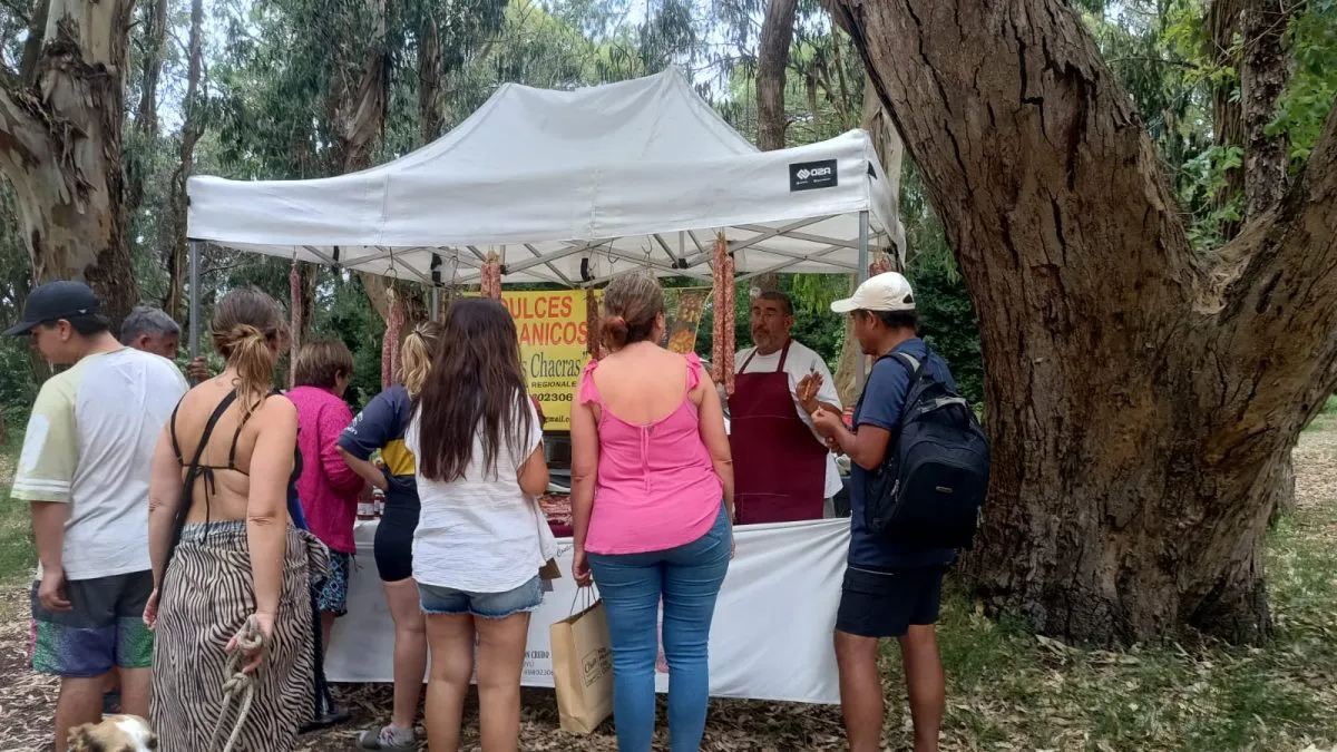 WhatsApp-Image-2025-02-07-at-10.53.41