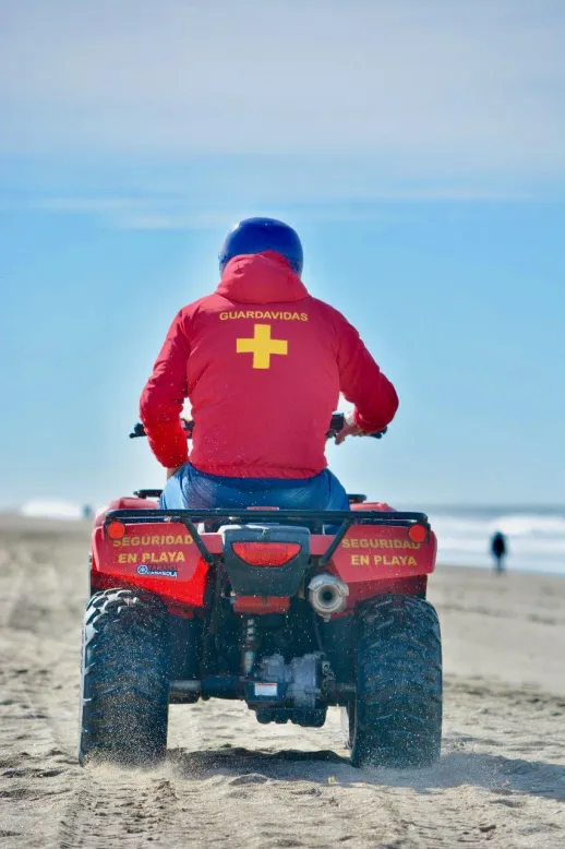 WhatsApp Image 2024-10-10 at 11.58.56