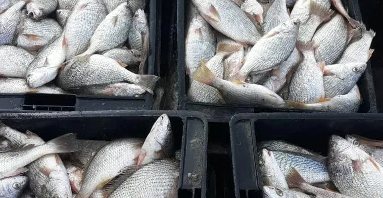 unnamed-6-7-774x400-1