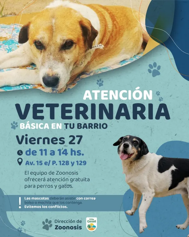 WhatsApp Image 2024-09-24 at 18.00.32