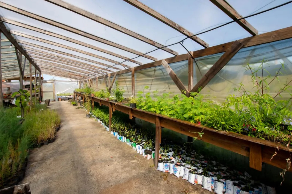 WhatsApp Image 2026-01-27 at 10.55.21