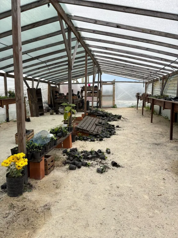 WhatsApp Image 2025-05-19 at 10.26.05