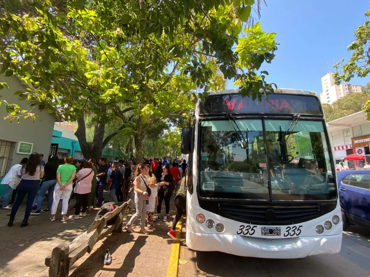 colectivo
