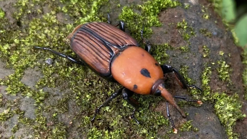 646377172_1360596906108833_6468301710124311535_n