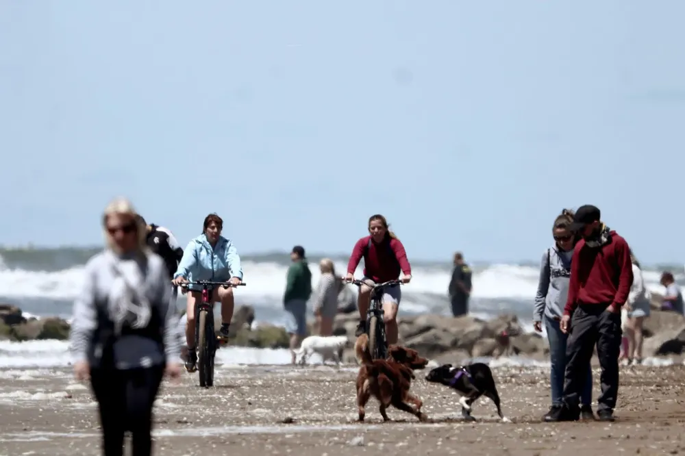 3b67e2d6-a1df-410a-a48a-06ca48c81f86