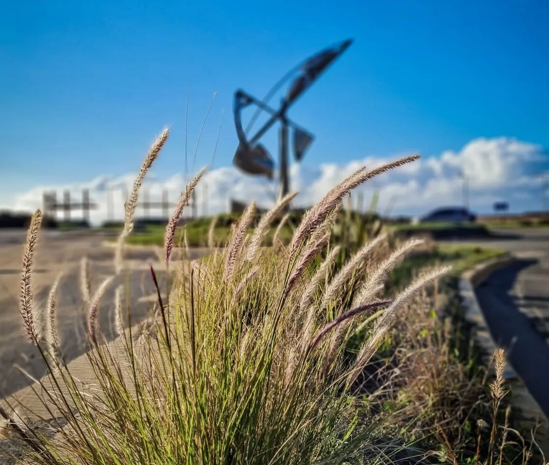 WhatsApp-Image-2024-10-30-at-9.22.42-AM-1