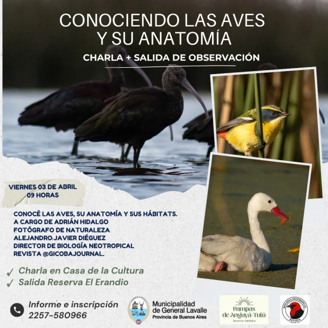 whatsapp-image-2026-03-26-at-095711_73