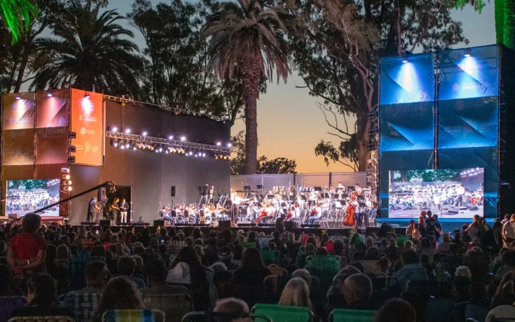 WhatsApp Image 2026-02-05 at 11.51.33