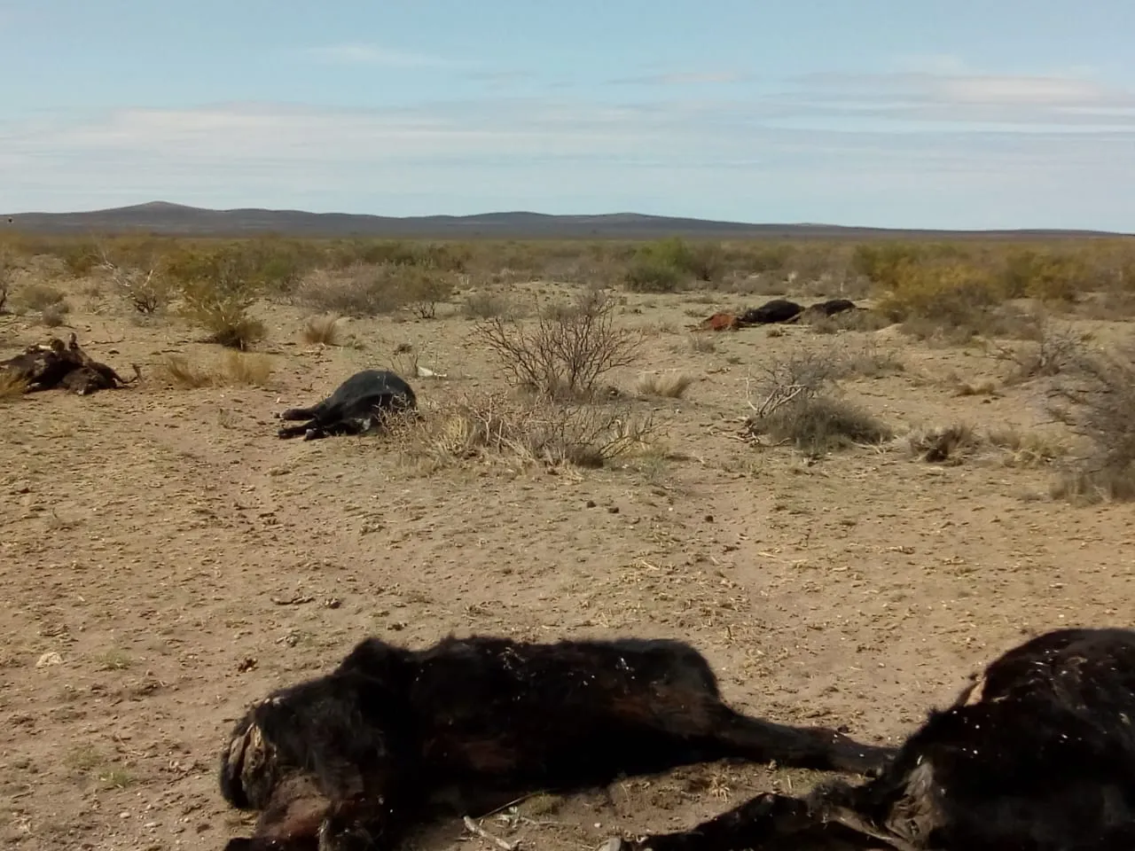 5e7d86c5-f1f3-4d53-b894-b14faad4fc56