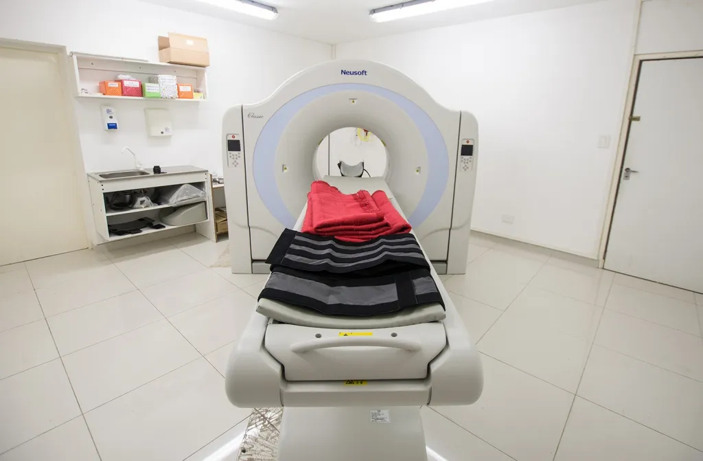 Imagen de WhatsApp 2024-08-22 a las 13.08.35_a8c1ea3d