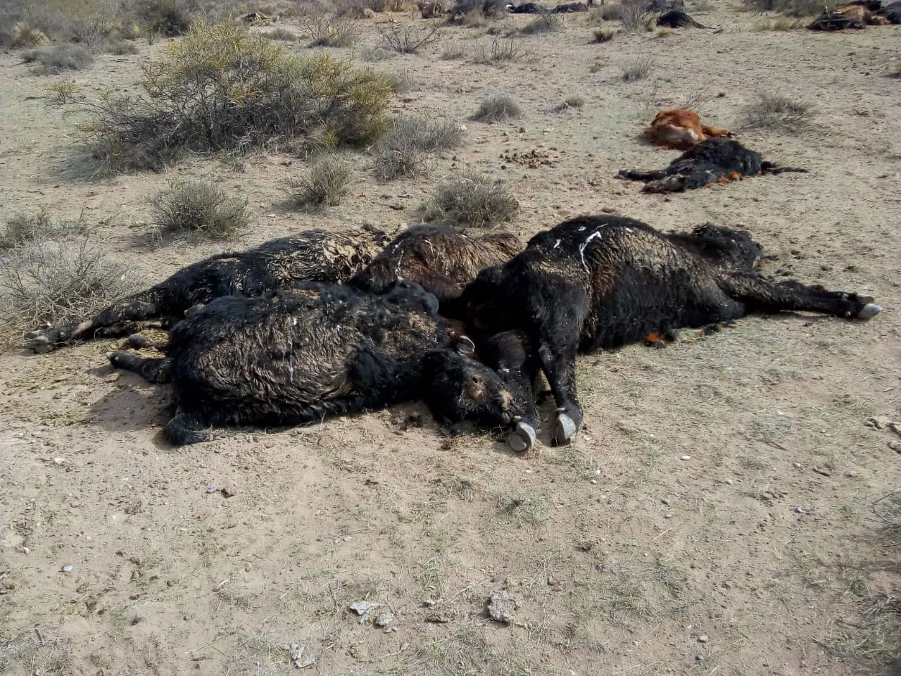 587db58b-8fdb-4dc1-8fd0-f9463b0ac54b