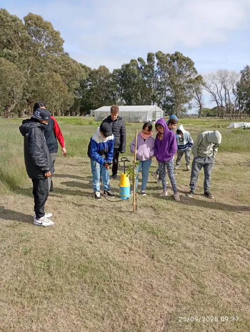 whatsapp_image_20250926_at_10_04_21_2