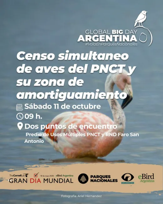 whatsapp-image-2025-10-01-at-083427_15