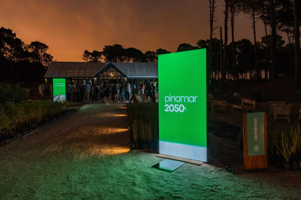 WhatsApp-Image-2025-01-28-at-18.08.24-1024x682