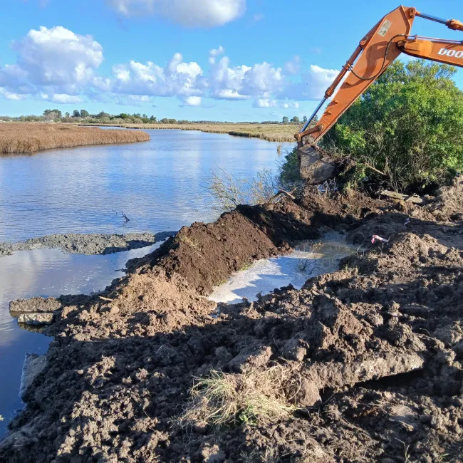 whatsapp-image-2025-06-03-at-082225_19