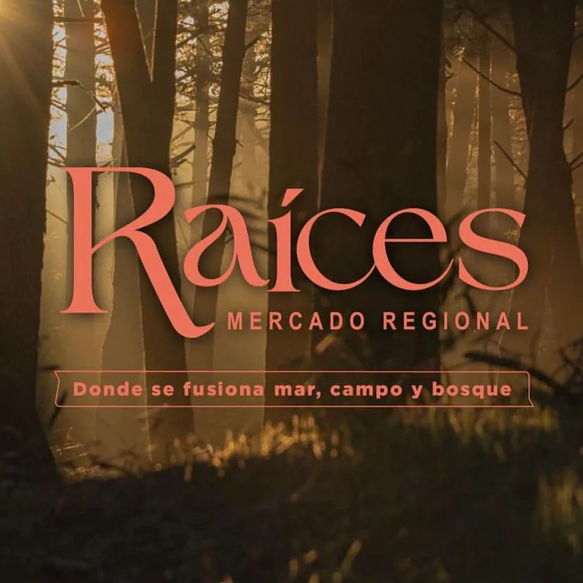 WhatsApp-Image-2024-04-29-at-11.54.17