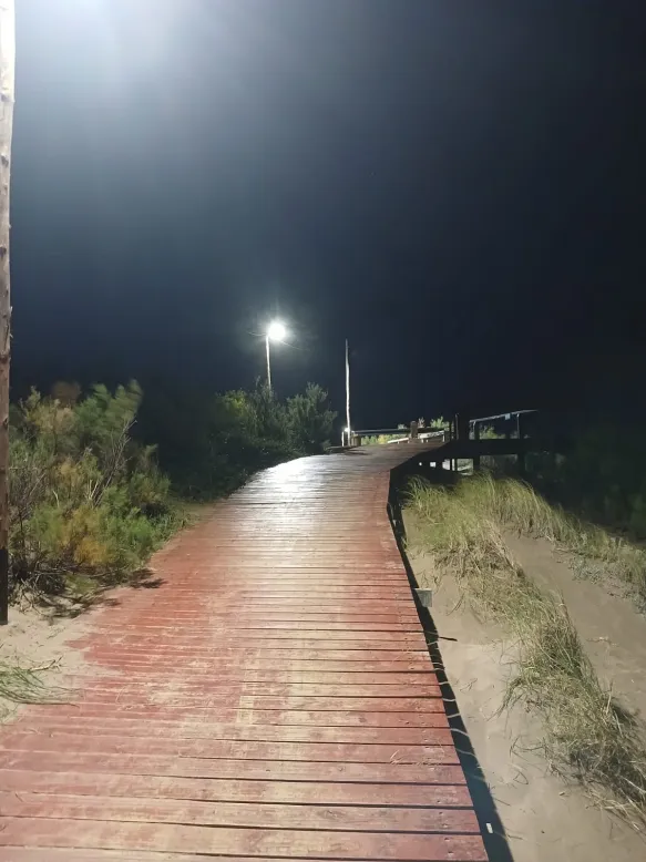 WhatsApp Image 2026-02-14 at 12.06.48 (1)