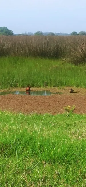 whatsapp-image-2025-10-13-at-114958_48