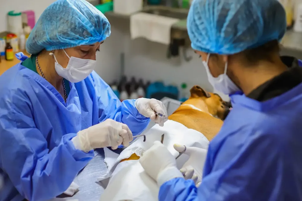 WhatsApp-Image-2022-08-01-at-2.44.05-PM