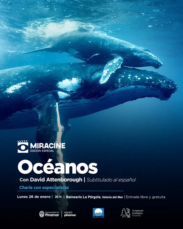 WhatsApp-Image-2026-01-21-at-09.46.52