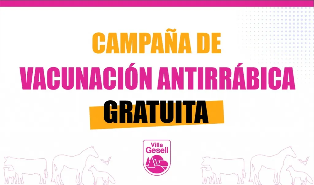 WhatsApp Image 2025-09-25 at 13.46.57