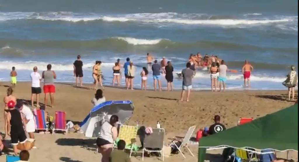 WhatsApp Image 2025-01-08 at 13.30.16 (1)