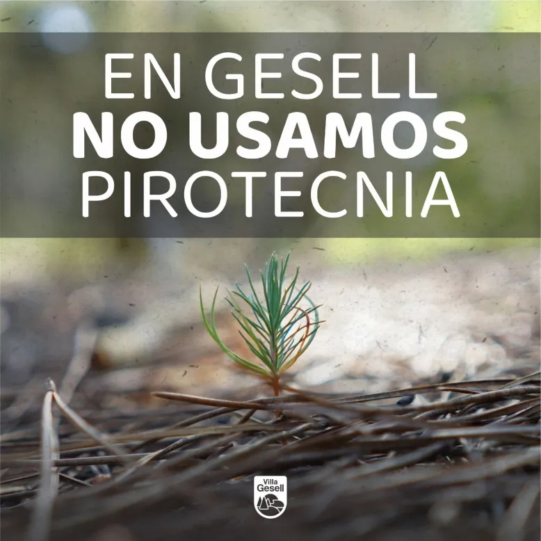 WhatsApp Image 2025-12-22 at 11.04.02